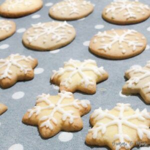 biscotti natale senza glutine