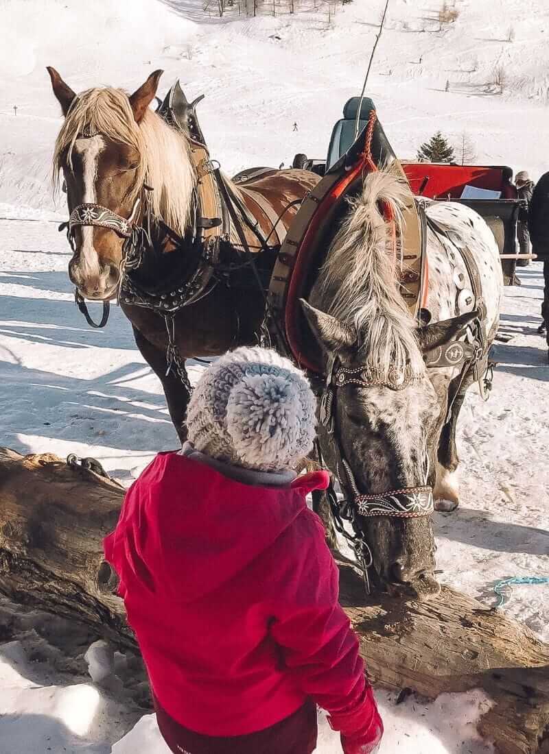 slitta cavalli fuciade