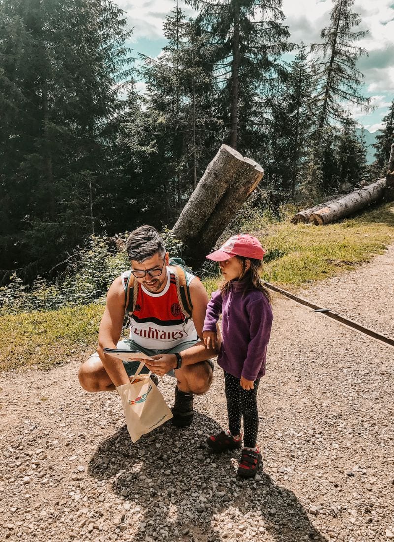 la foresta dei draghi