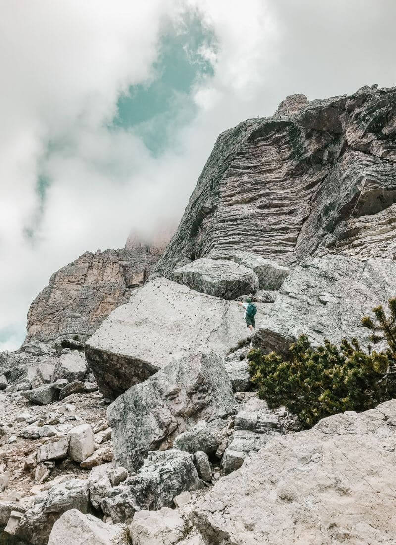 orme dinosauri pelmo