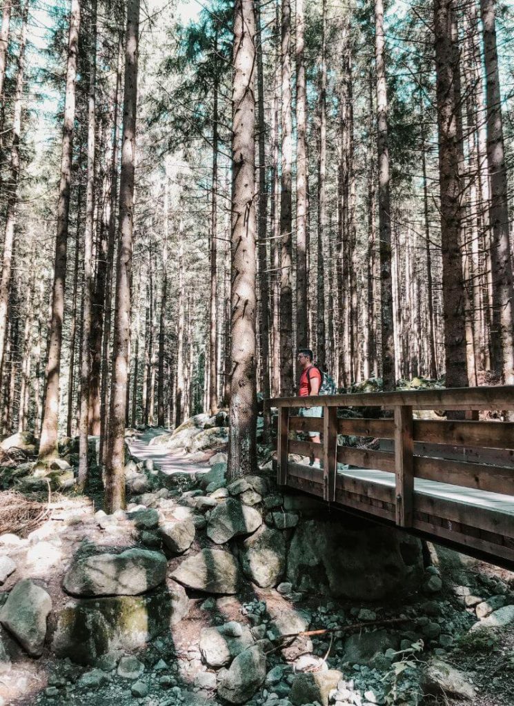 bosco cascate di riva