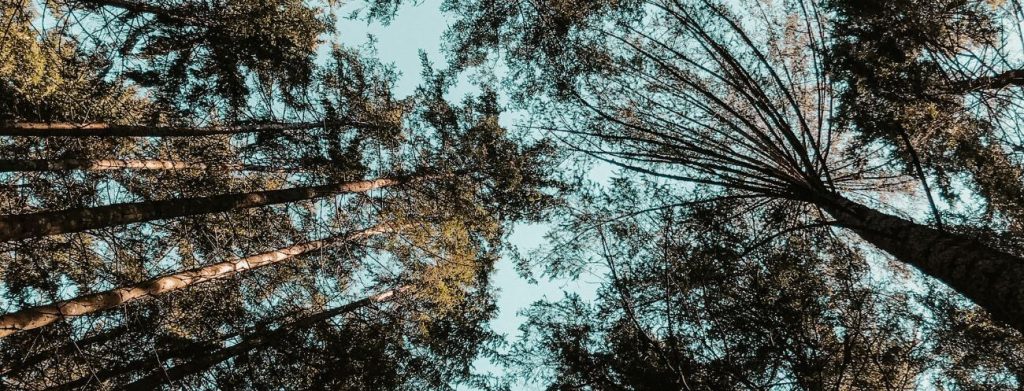 sentiero di san francesco