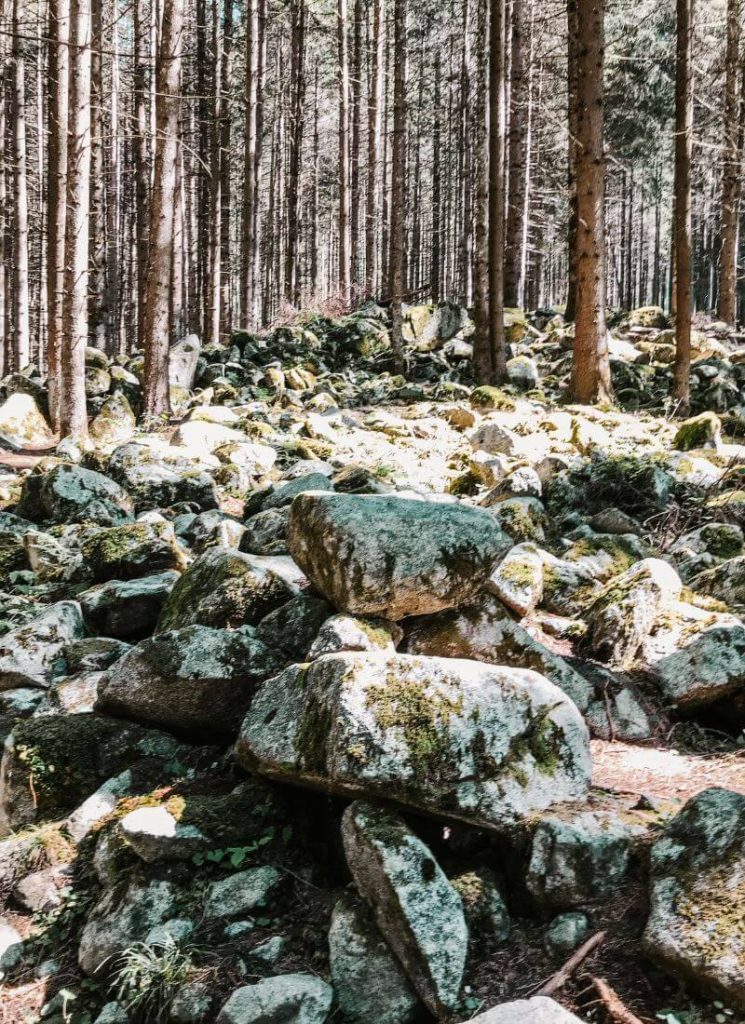 bosco cascate di riva 
