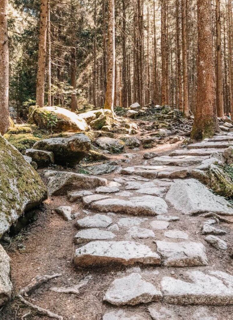 sentiero per le cascate di riva