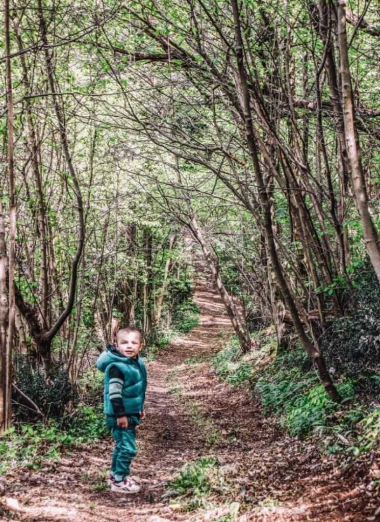 castelli Montecchio gite fuori porta Veneto primavera