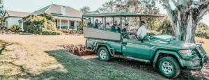 Safari Africa bambini