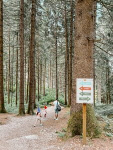 Villaggio Gnomi Asiago nel bosco