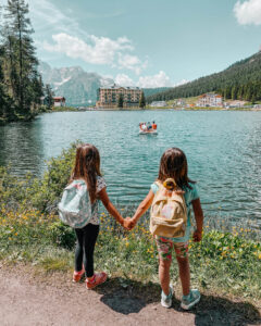 dammi la mano