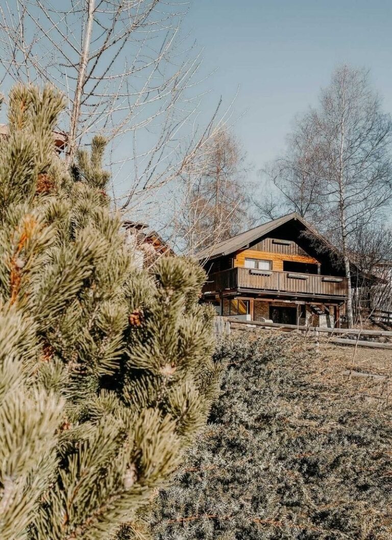 baite in affitto in trentino
