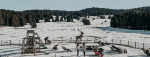 malga millegrobbe trentino