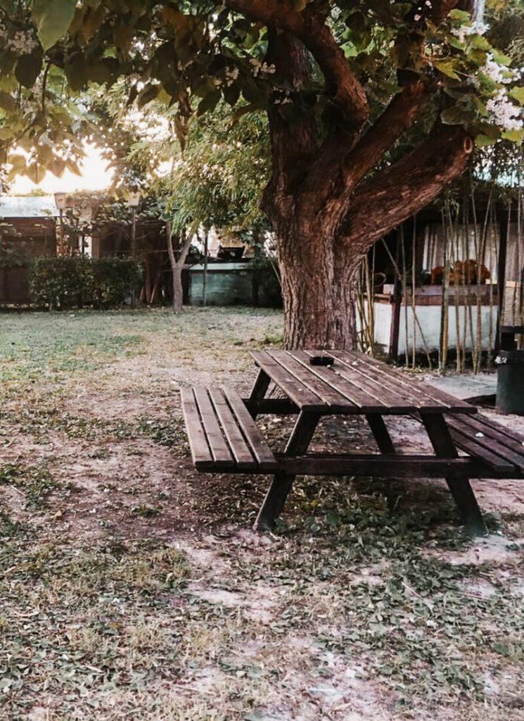 al fritoin cortellazzo jesolo