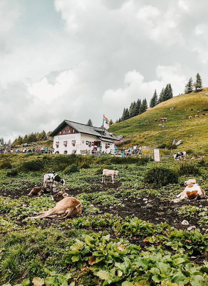 rifugio città di fiume val fiorentina