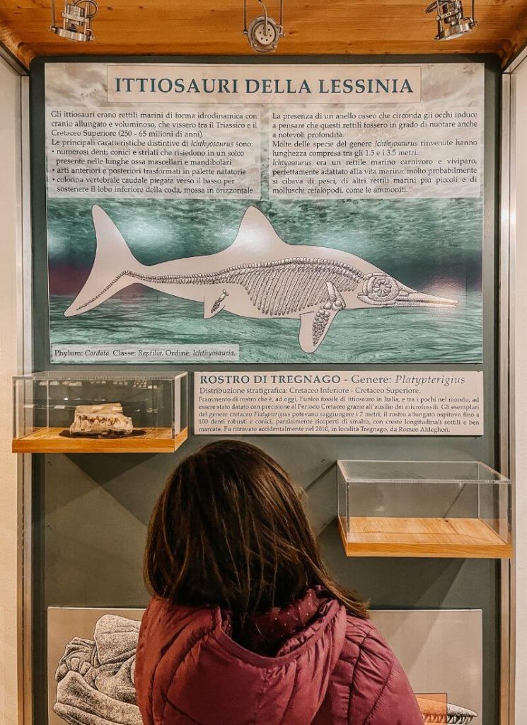 ittiosauri lessinia camposilvano