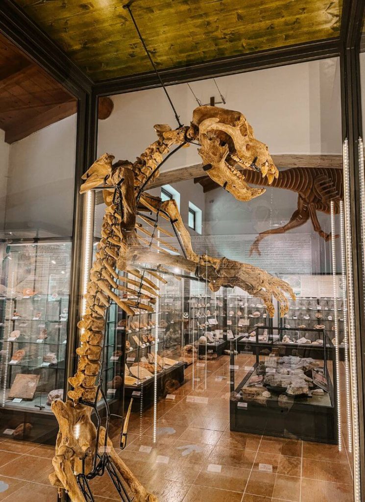 orso delle caverne lessinia