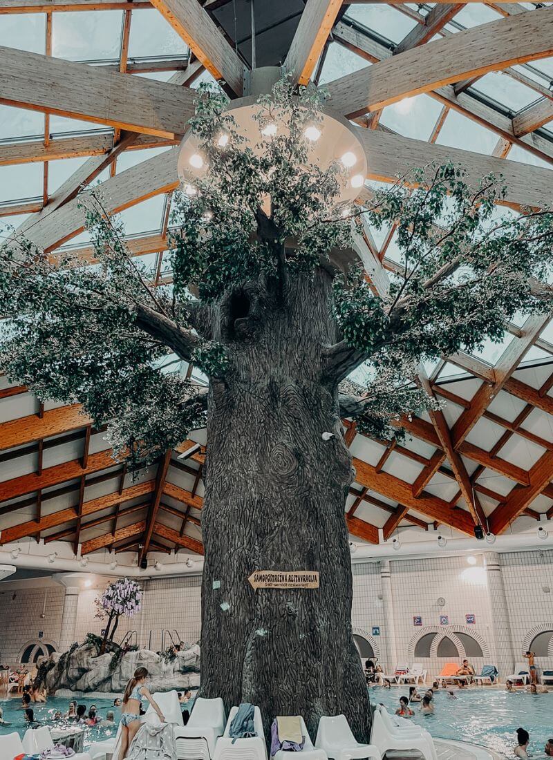 terme di catez in slovenia
