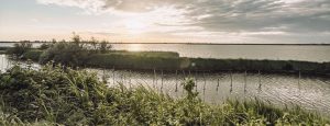gite fuori porta primavera con i bambini in veneto laguna venezia