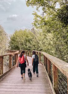 gite fuori porta in veneto con bambini primavera