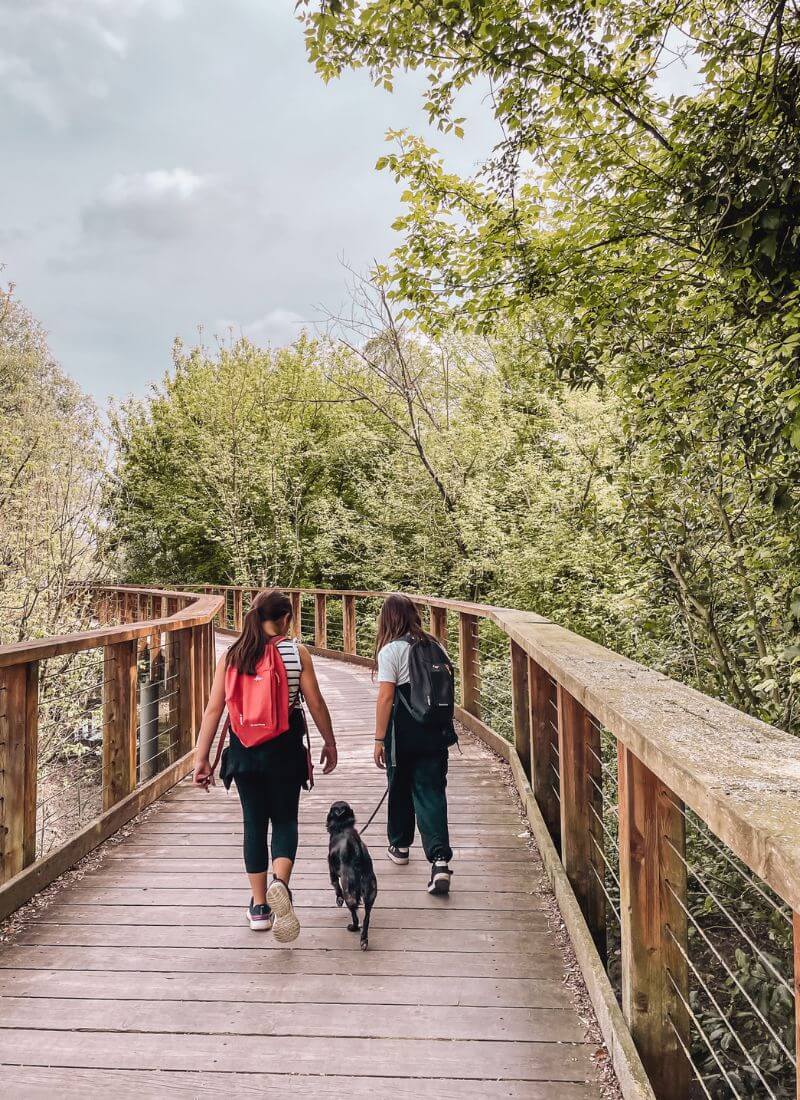 gite fuori porta in veneto con bambini primavera