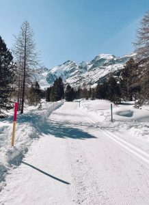 engadina svizzera